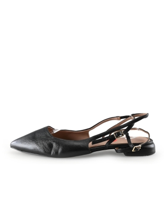 Manfield Ballerina's