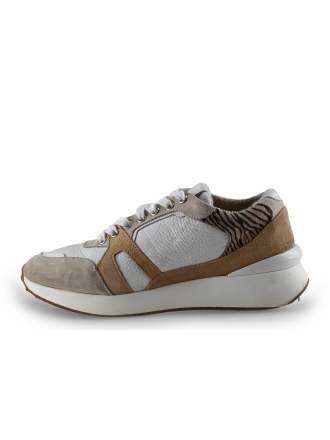 Manfield Sneakers