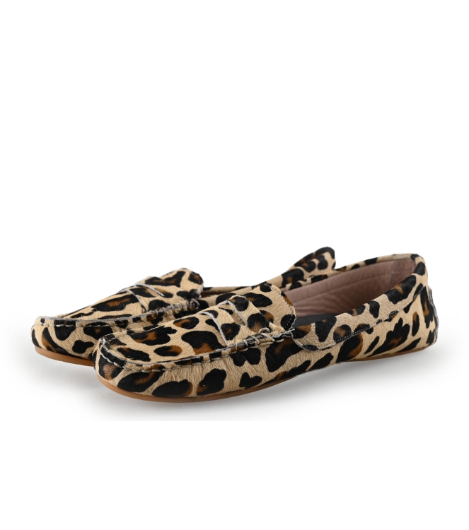 Stefano Lauran Instappers