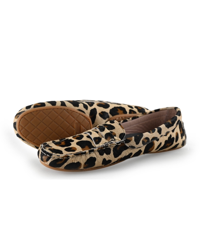 Stefano Lauran Instappers