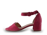 Gabor Pumps