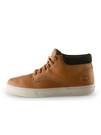 Timberland Hoge sneakers