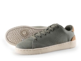 Toms Sneakers