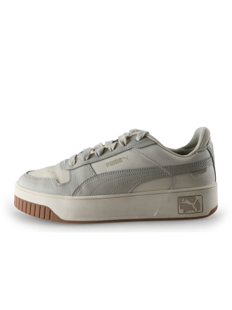 Puma Sneakers Grijs 306546