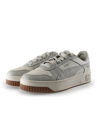 Puma Sneakers Grijs 306546