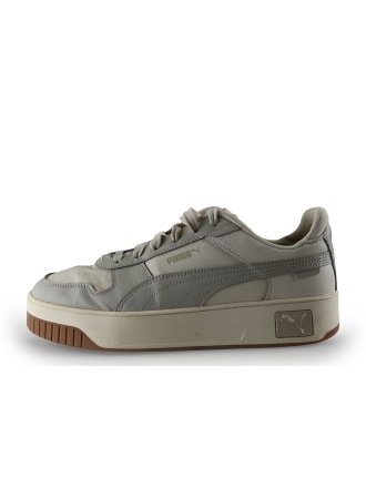 Puma Sneakers Grijs 306689
