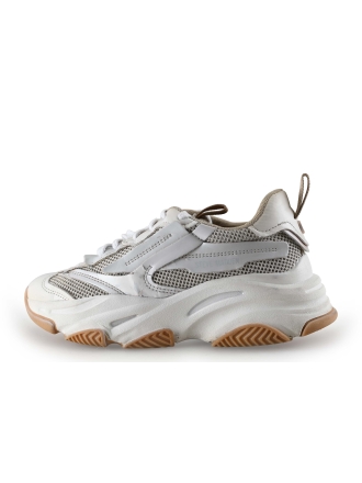 Steve Madden Sneakers