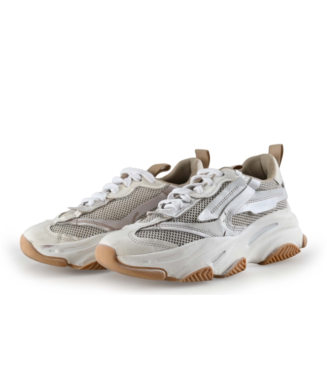 Steve Madden Sneakers