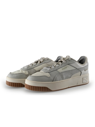 Puma Sneakers Grijs 307329