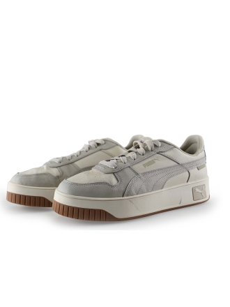 Puma Sneakers Grijs 307619
