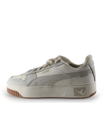 Puma Sneakers Grijs 307916