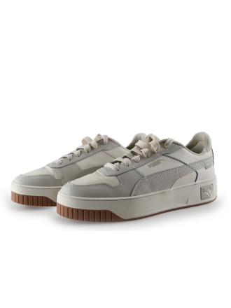 Puma Sneakers Grijs 307916
