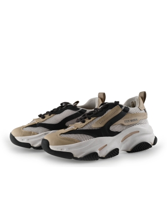 Steve Madden Sneakers