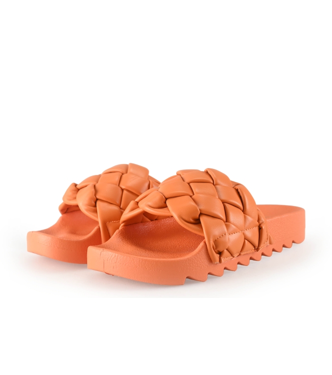 Colors of California Muiltjes