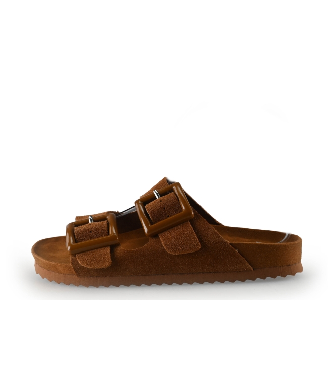 Colors of California Muiltjes