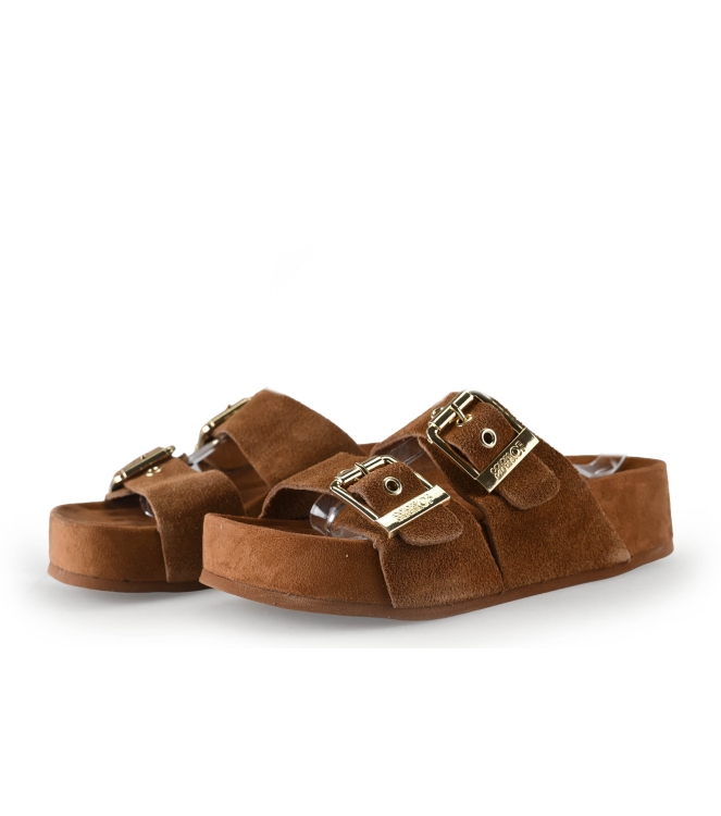 Colors of California Muiltjes