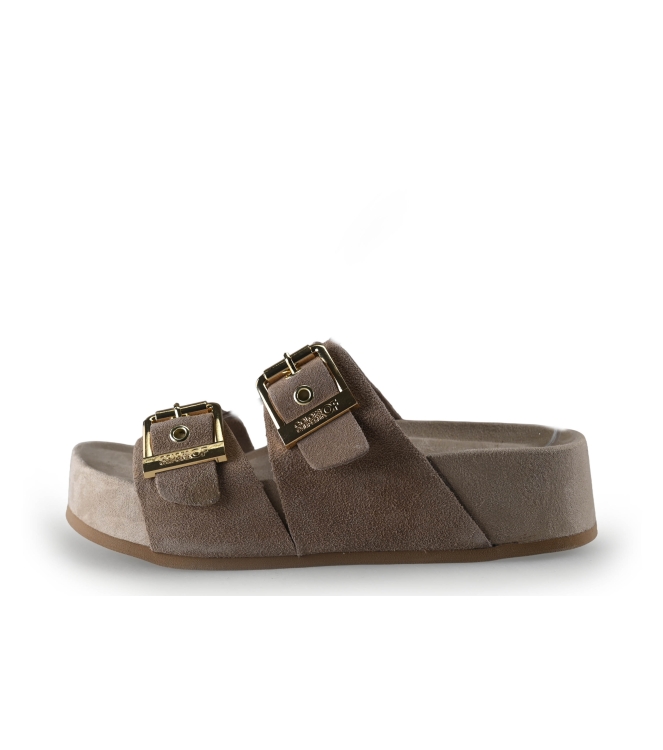 Colors of California Muiltjes