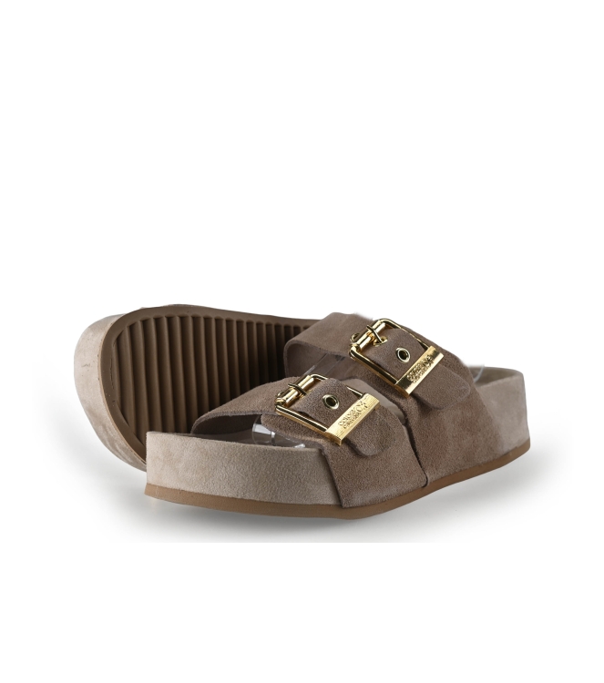 Colors of California Muiltjes