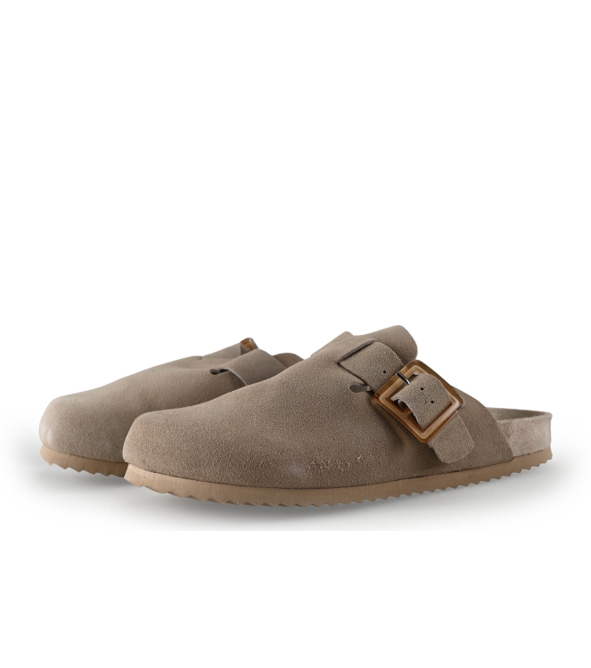 Colors of California Muiltjes