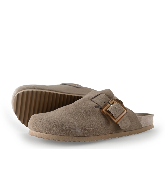 Colors of California Muiltjes