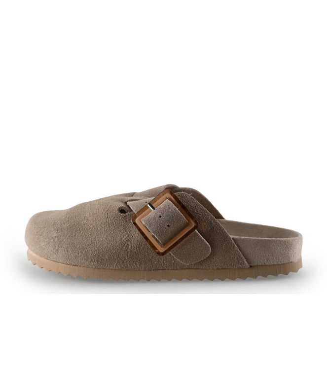 Colors of California Muiltjes