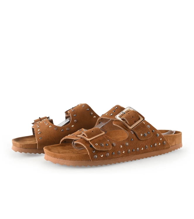 Colors of California Muiltjes