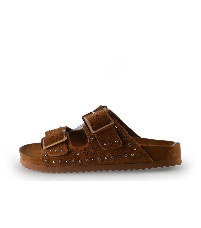 Colors of California Muiltjes