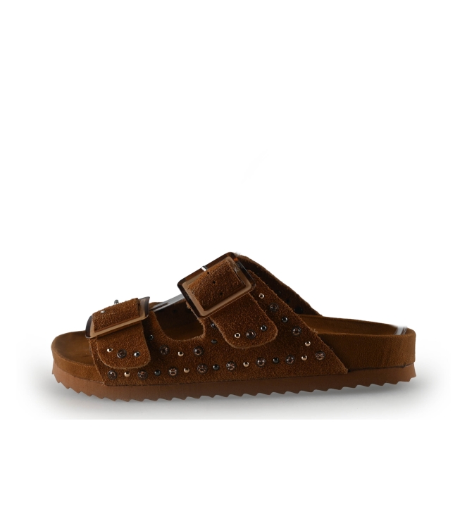 Colors of California Muiltjes