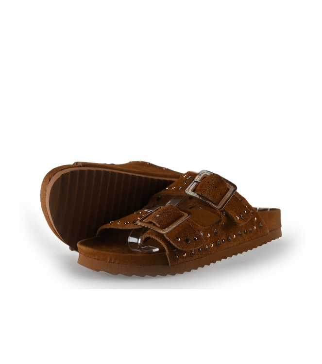 Colors of California Muiltjes