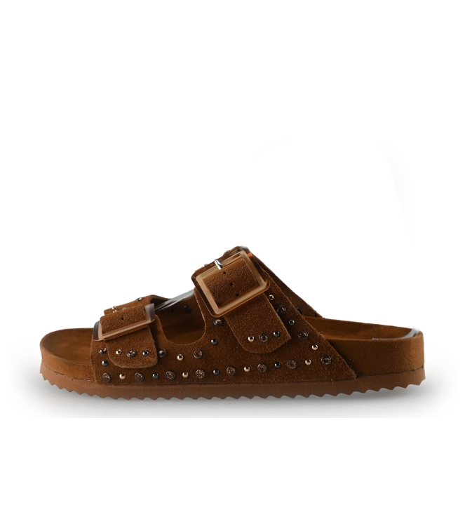 Colors of California Muiltjes