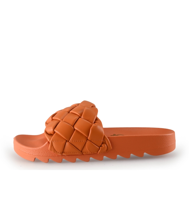 Colors of California Muiltjes