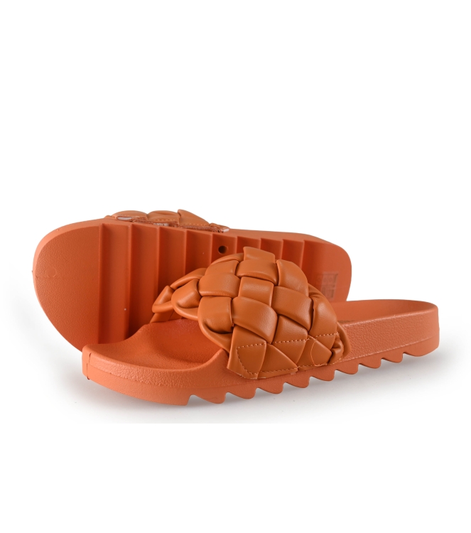 Colors of California Muiltjes