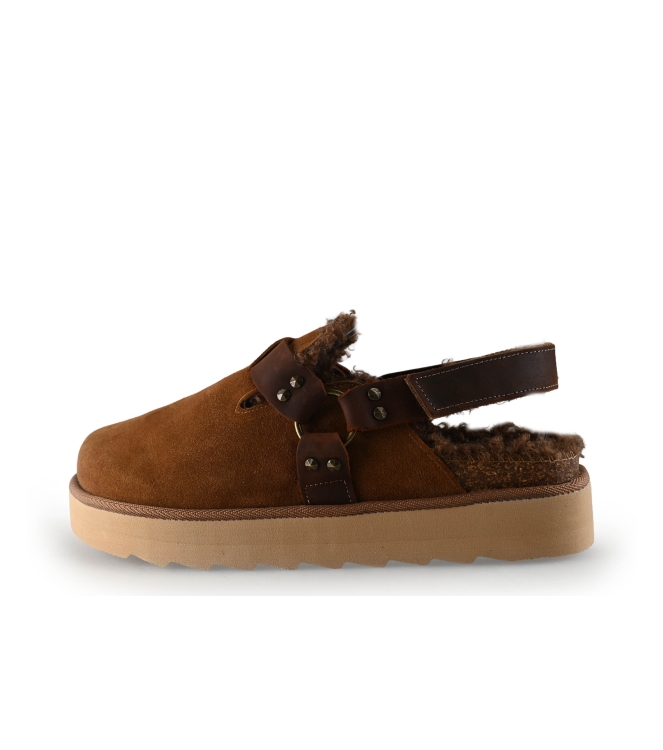 Colors of California Muiltjes