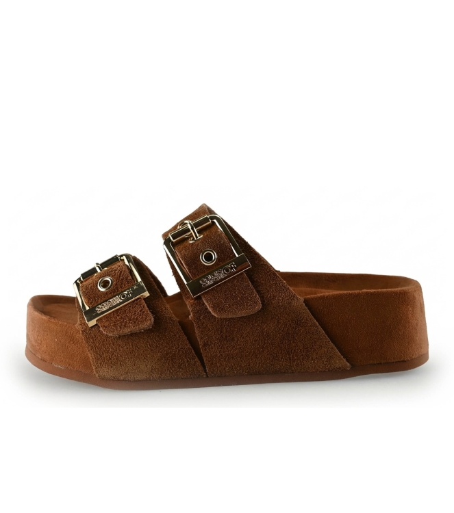 Colors of California Muiltjes