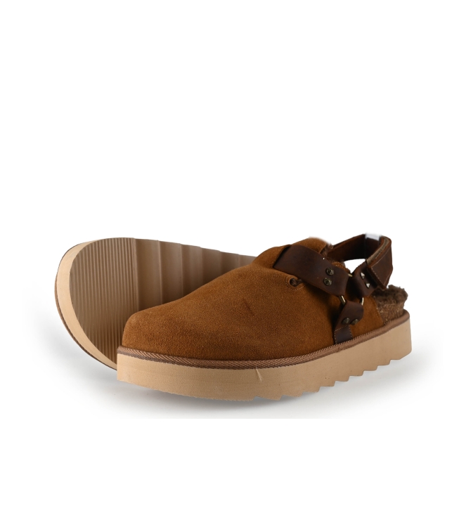 Colors of California Muiltjes