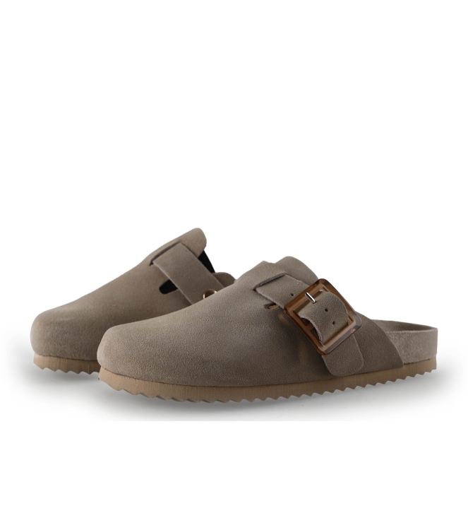 Colors of California Muiltjes