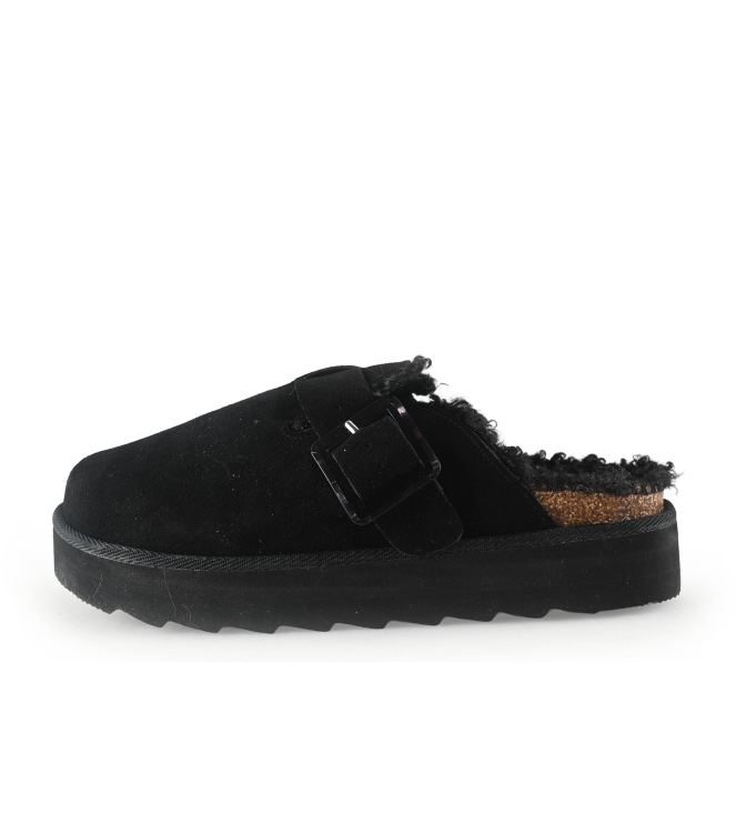 Colors of California Muiltjes