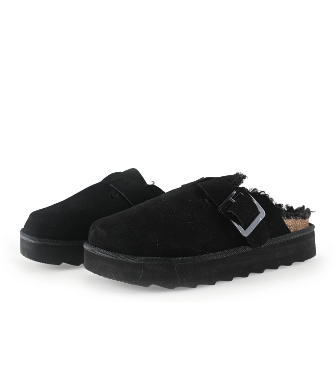 Colors of California Muiltjes