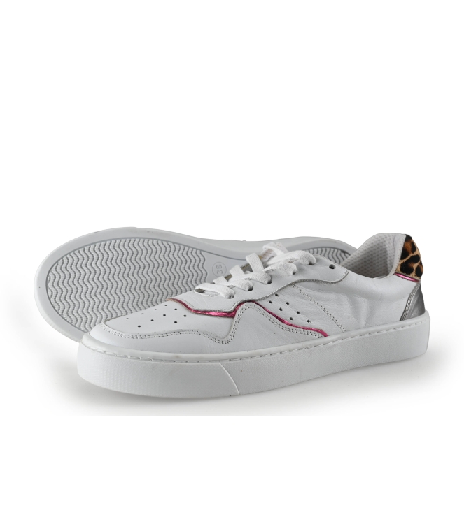 Colors of California Sneakers