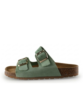 Plakton Muiltjes Groen 309758