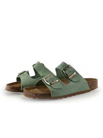 Plakton Muiltjes Groen 309758