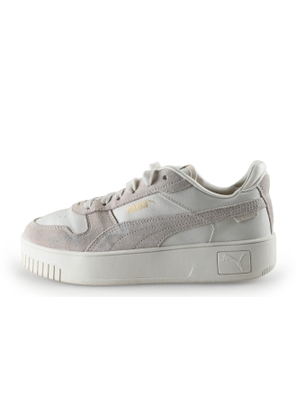 Puma Sneakers Grijs 310432