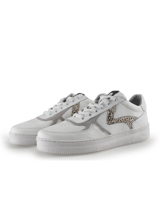 Maruti Sneakers Wit 311839