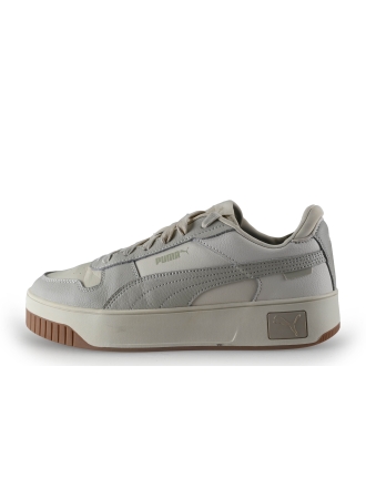 Puma Sneakers Grijs 314029