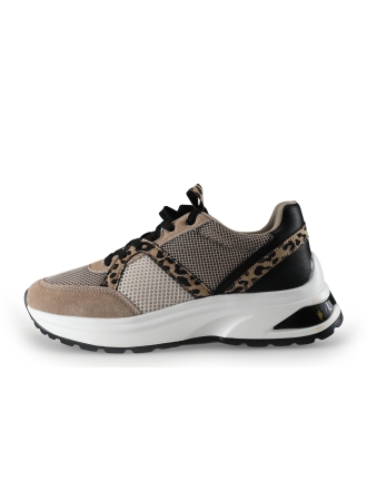 Cellini Sneakers Beige 314574