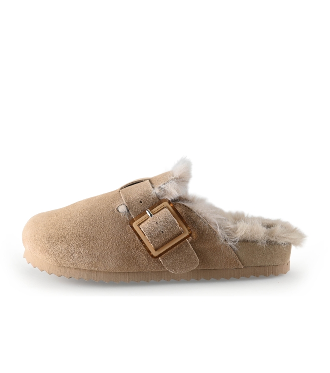 Colors of California Muiltjes