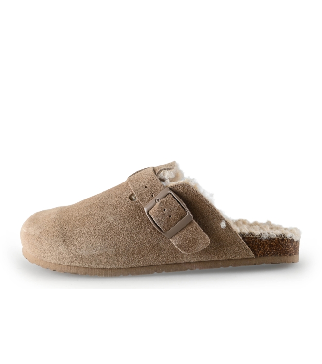 Colors of California Muiltjes