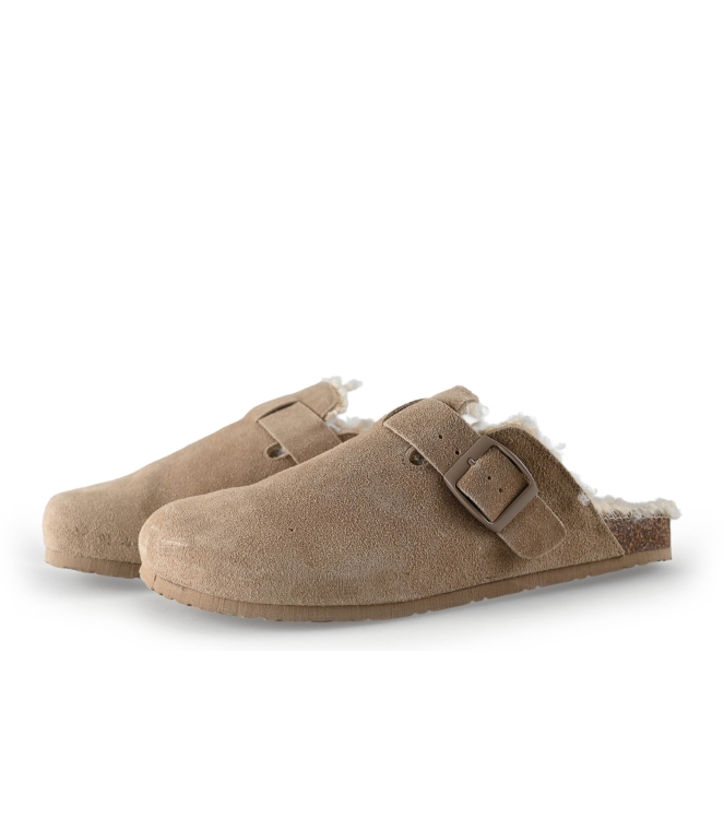 Colors of California Muiltjes