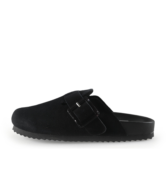 Colors of California Muiltjes