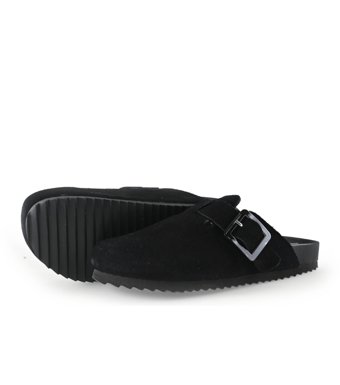 Colors of California Muiltjes